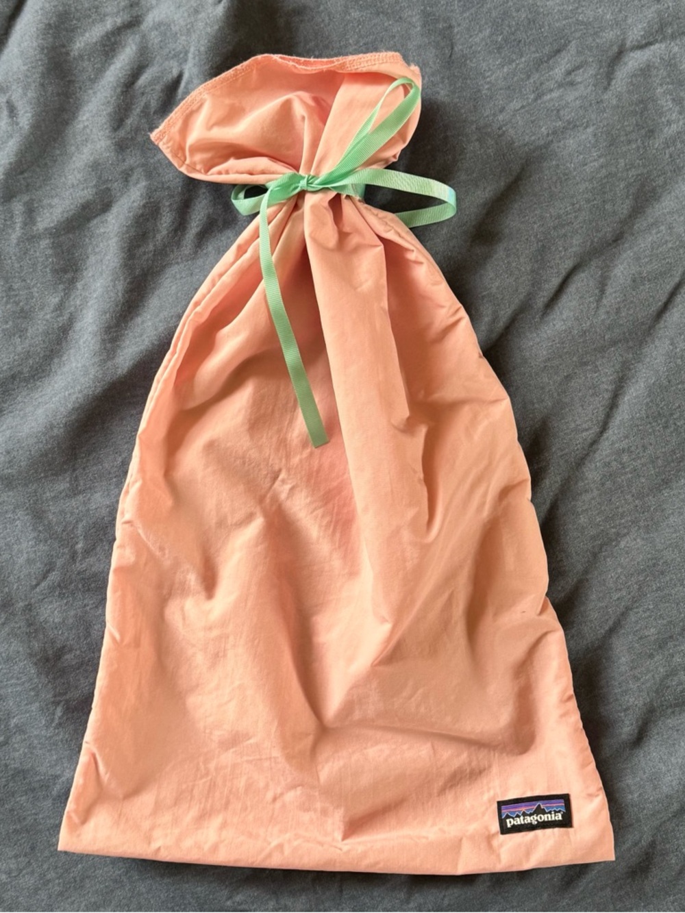 Patagonia cinch bag